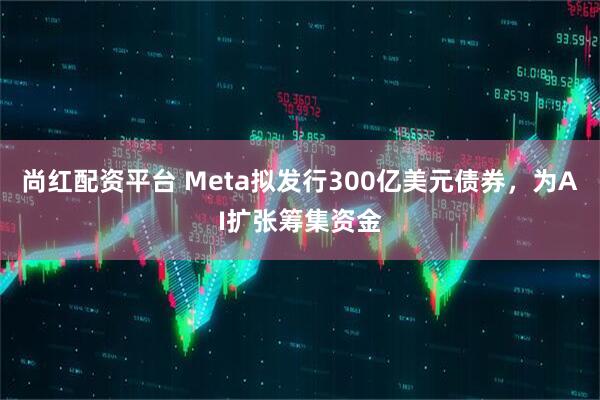 尚红配资平台 Meta拟发行300亿美元债券，为AI扩张筹集资金